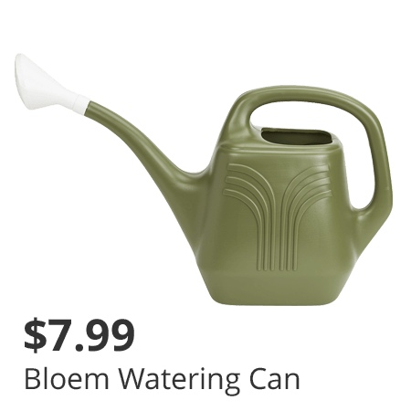 Bloem watering can.