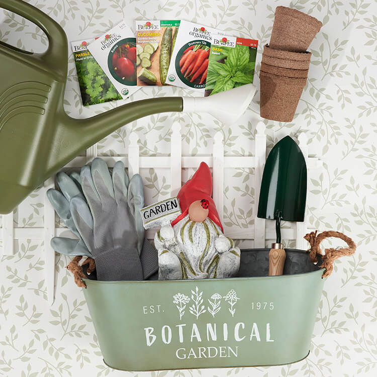 Gardening tools and supplies.