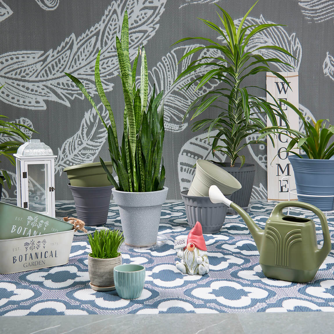 Various plants and planters.